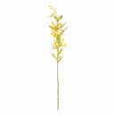 Mimosa Stems 27.5", Set Of 6