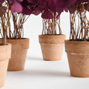 Mini Oxalis Potted Drop-In 7" St/4