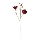 Magnolia Stems 27" St/4