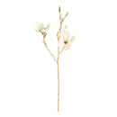 Gilded Magnolia Stems 27" St/6