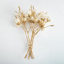 Gilded Magnolia Stems 27" St/6