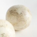 Arabella Orb Medium St/2