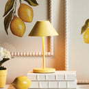 Alluna Cordless Led Lamp 10"