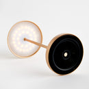 Alluna Cordless Led Lamp 14"