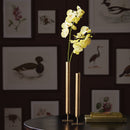 Henri Tall Vases St/2