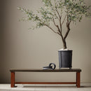 Caden Bench