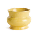 Cora Pot