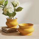 Cora Pot