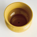 Cora Pot