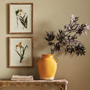 Assorted Pressed Flower Study St/4