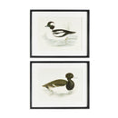 Wading Duck Prints St/2