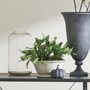 Renato Glass Vase Large