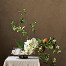 Adalina Decorative Glass Footed Bowl