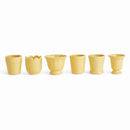 Mirabelle Mini Cachepots, Set Of 6