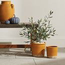 Maisha Pots St/2