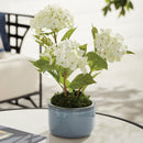 Aylin Pots, Set Of 3