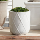 Maxwell Pots, Set Of 3