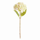 Hydrangea Stems 18", Set Of 6