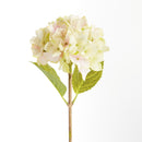Hydrangea Stems 18", Set Of 6