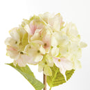 Hydrangea Stems 18", Set Of 6