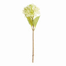 Hydrangea Stems 18", Set Of 6