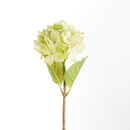 Hydrangea Stems 18", Set Of 6