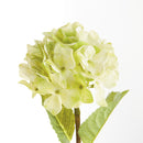Hydrangea Stems 18", Set Of 6