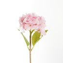 Hydrangea Stems 18", Set Of 6