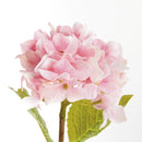 Hydrangea Stems 18", Set Of 6