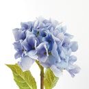 Hydrangea Stems 18", Set Of 6