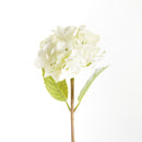Hydrangea Stems 18", Set Of 6