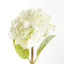 Hydrangea Stems 18", Set Of 6