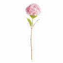 Mophead Hydrangea Stems 30.5", Set Of 4