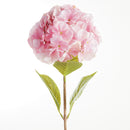 Mophead Hydrangea Stems 30.5", Set Of 4