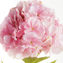 Mophead Hydrangea Stems 30.5", Set Of 4