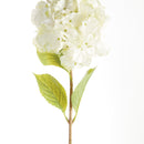 Mophead Hydrangea Stems 30.5", Set Of 4