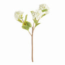 Hydrangea Branches 31", Set Of 2