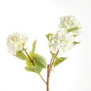Hydrangea Branches 31", Set Of 2