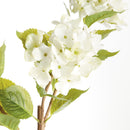 Hydrangea Branches 31", Set Of 2