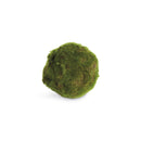 Moss Orbs 4" St/6
