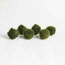 Moss Orbs 4" St/6