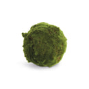 Moss Orbs 5" St/3