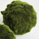 Moss Orbs 5" St/3