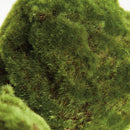 Moss Orbs 7" St/3