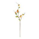 Crabapple Stems St/6