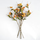 Crabapple Stems St/6