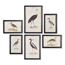 NAPA Home & Garden, WATERFOWL GALLERY, SET OF 6,NA211