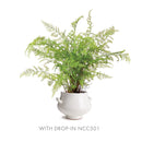 NAPA Home & Garden, WELLON FOOTED CACHEPOT Collection