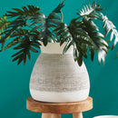 NAPA Home & Garden, GIA VASE SHORT,NBY404