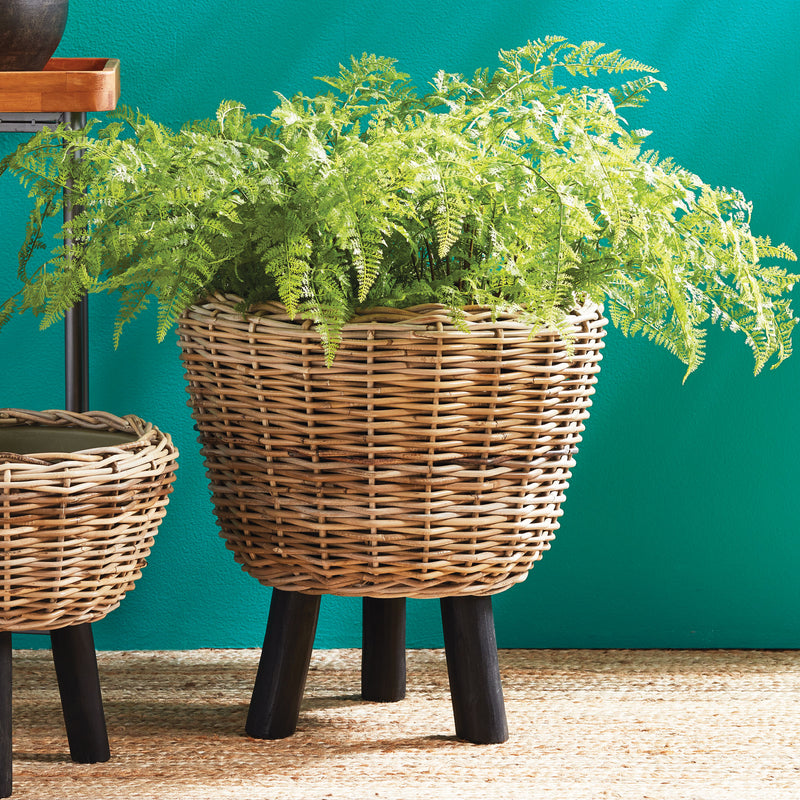 NAPA Home & Garden, SOFT FERN DROP-IN 36",NCC501